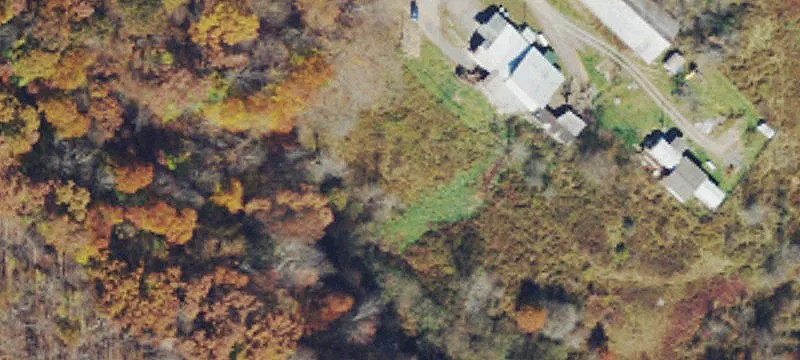Belington, WV 26250