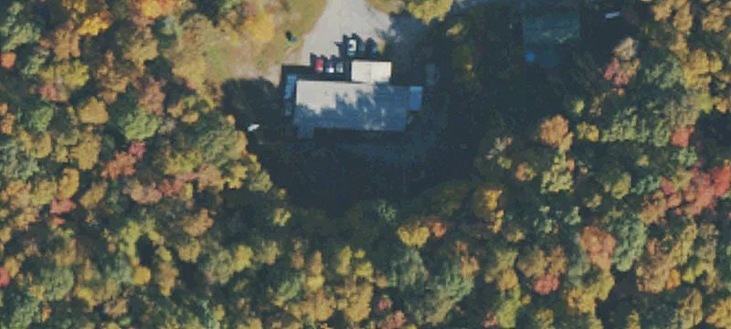 51 Vegan Rd