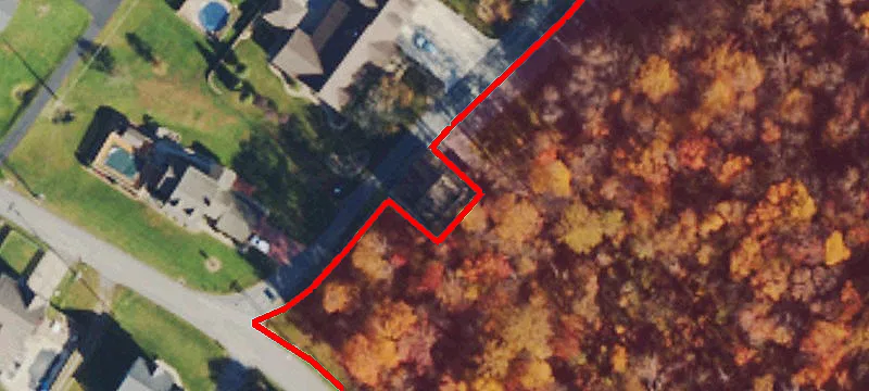 1547 Tulip Ln