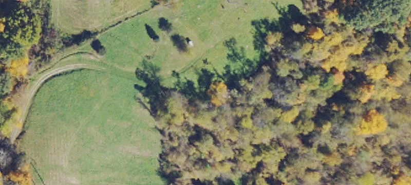 370 Dixons Run Rd