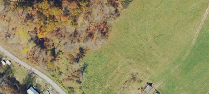 330 Pedlar Run Rd