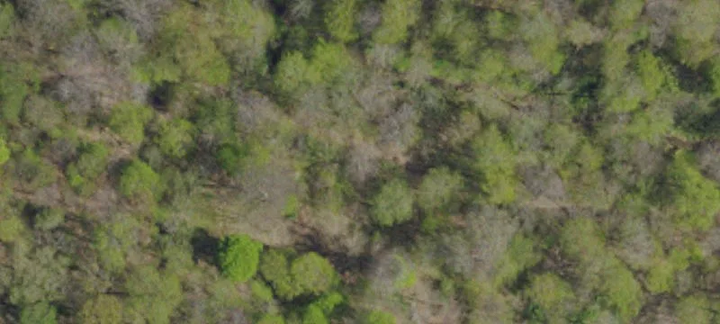 195 Eden Dr
