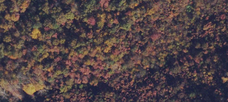 Berkeley Springs, WV 25411