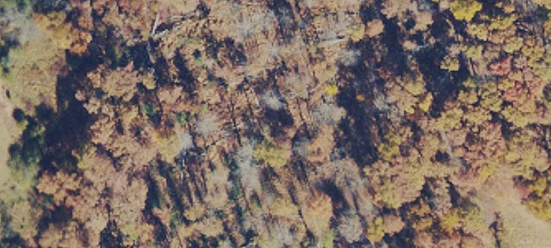 Rte 16