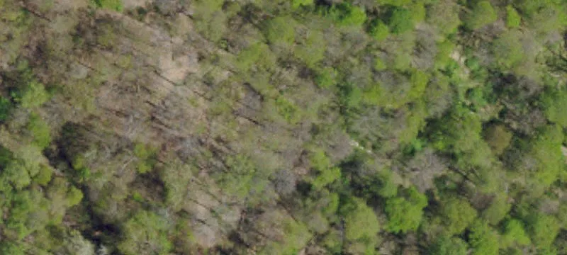 Hundred, WV 26575
