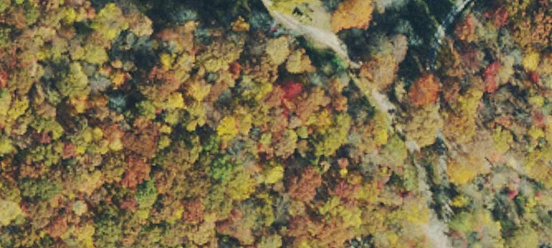 Landgraff Landgraff