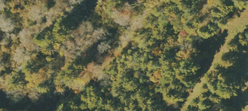 Arbovale, WV 