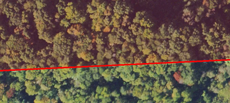 Rte 14