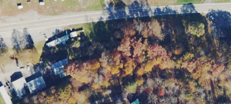 Us Hwy 19