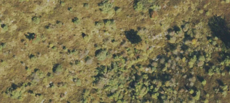  Valley