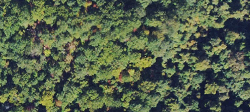 Seng Cir, WV 
