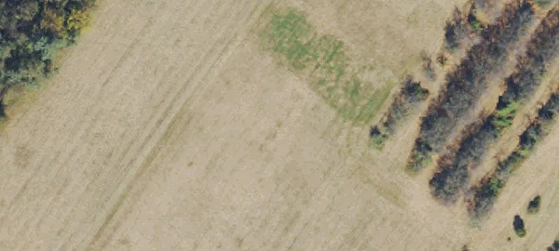 Lirdale Farm Ln