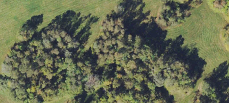 Pleasants Hwy