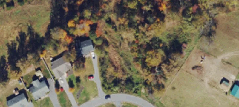 Wanda Mae Ct