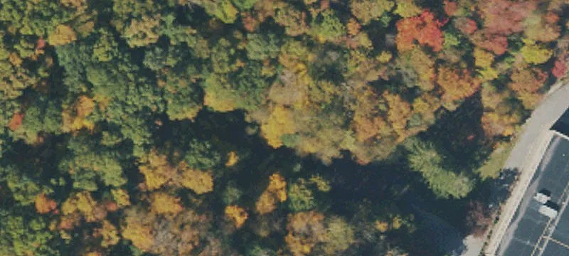 Elkins, WV 26241