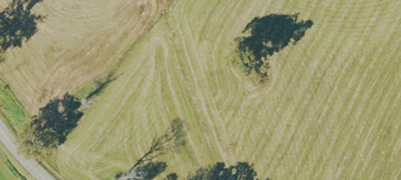 Georgetown Rd