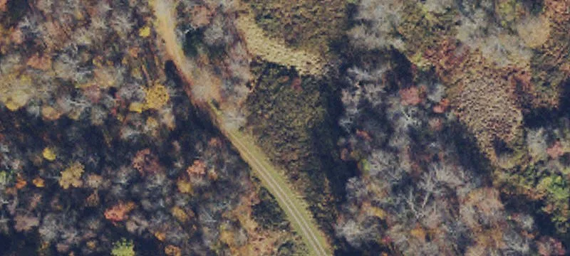 Guseman School Rd