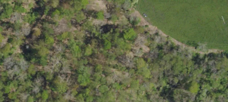 Heathermoor Dr