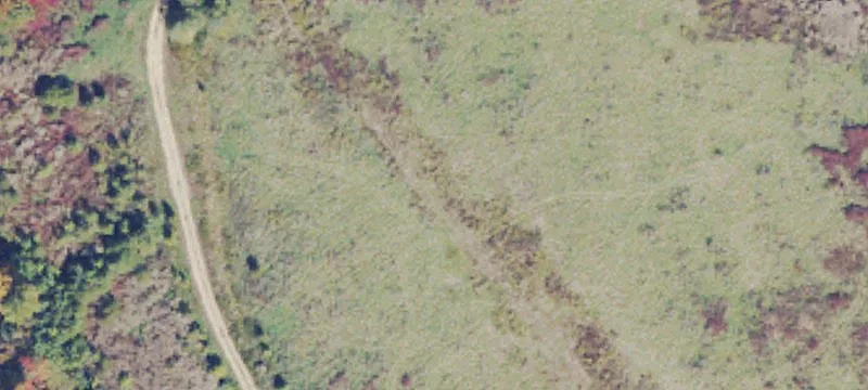 French Creek, WV 26218