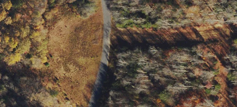 Davis, WV 26260