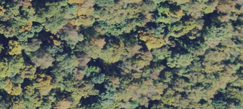  Fork
