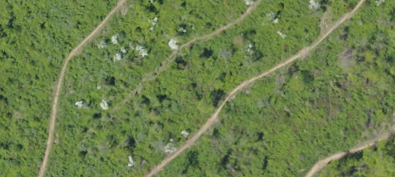 Rte 195