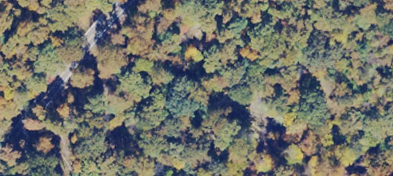 Holly State Park