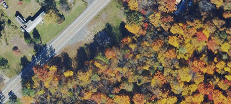 Rte 50