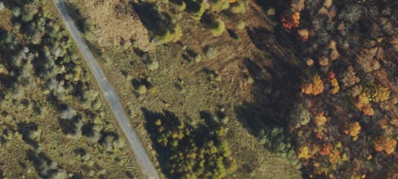 Rte 50