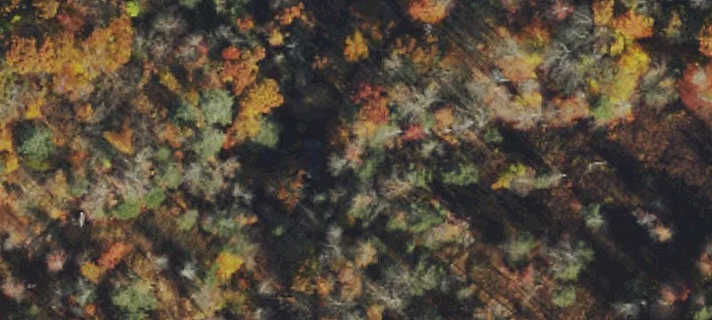  Mount