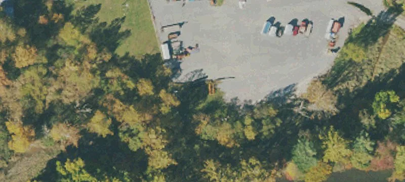 Elkins, WV 26241
