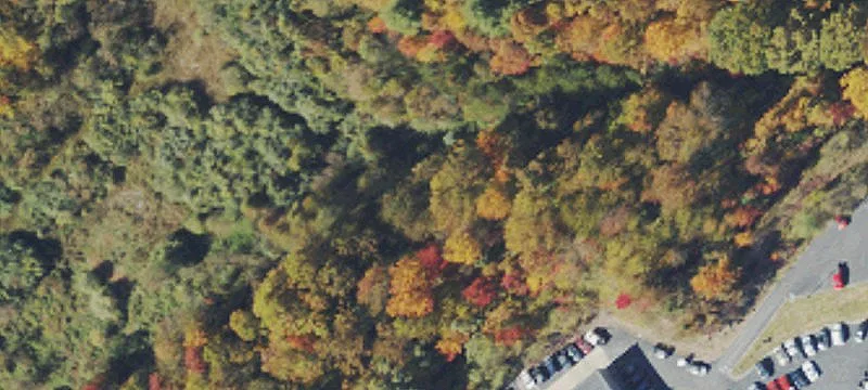Rte 460