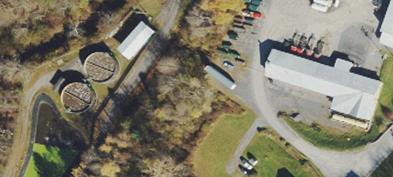 Thomas, WV 26292