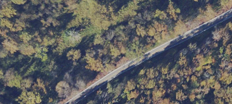 Sycamore Run Rd