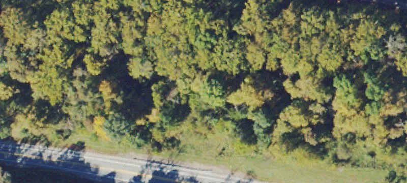 Washington, WV 26181