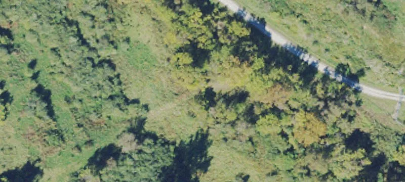 Washington, WV 