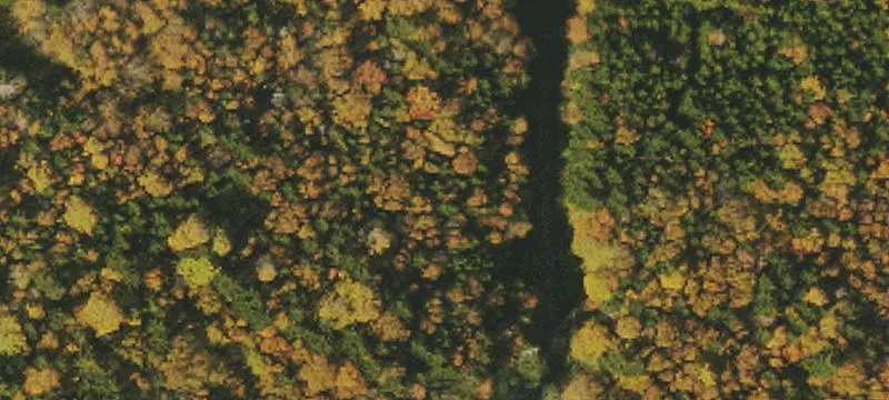 Cheat Mtn, WV