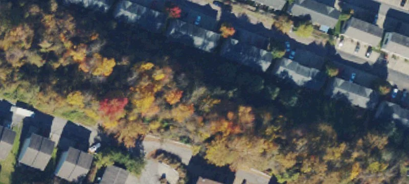 Treemont St