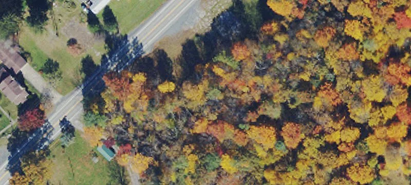 Rte 50