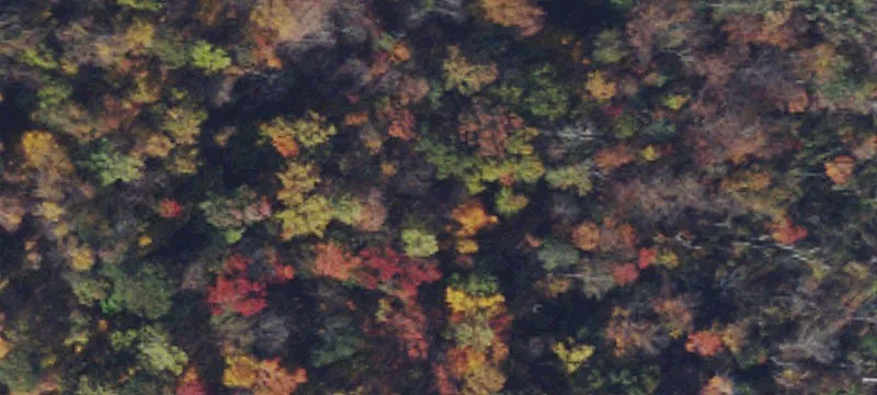 Berkeley Springs, WV 25411