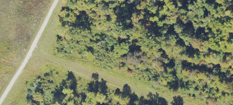 Buffalo, WV 25033