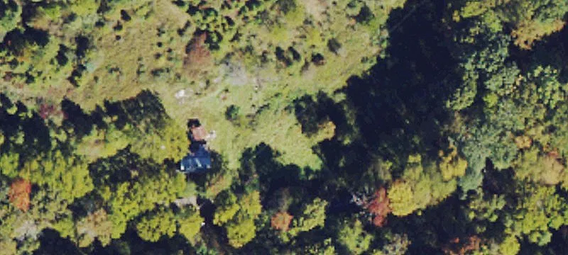Surveyor