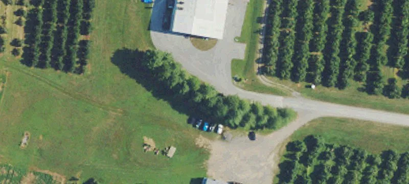 3955 Hammonds Ml Rd