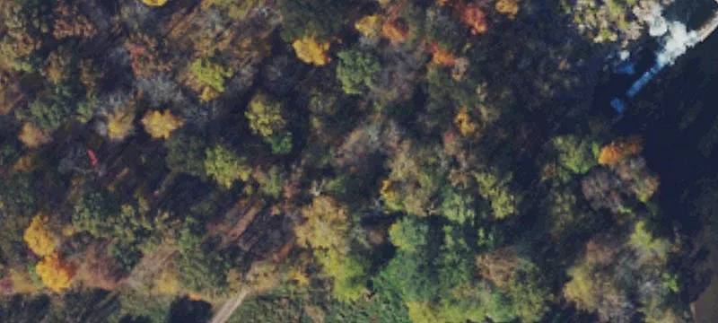 Great Cacapon, WV 25422