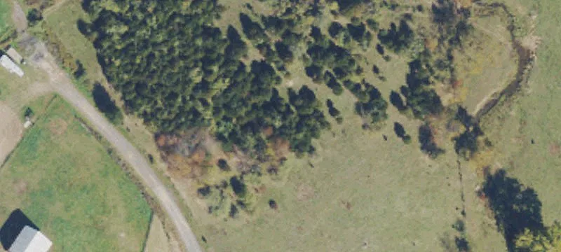 Lahmansville, WV 26731