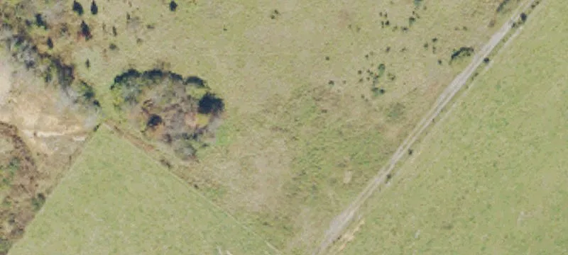 Maple Carriage Dr