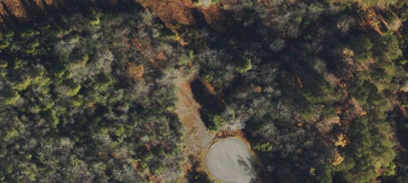 Davis, WV 26260