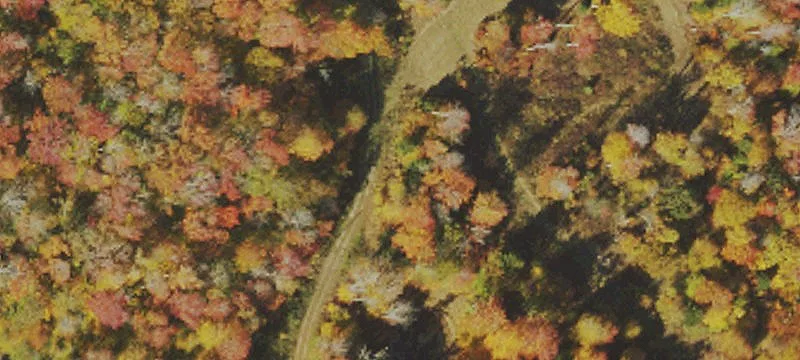 Cheat Mtn