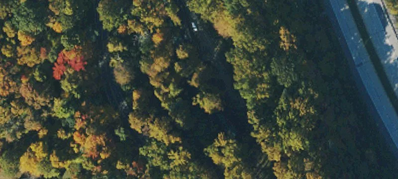 Elkins, WV 26241