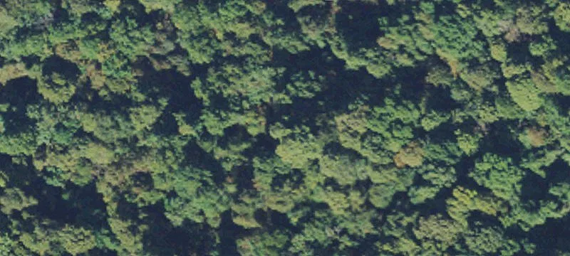 Chapmanville, WV 25508